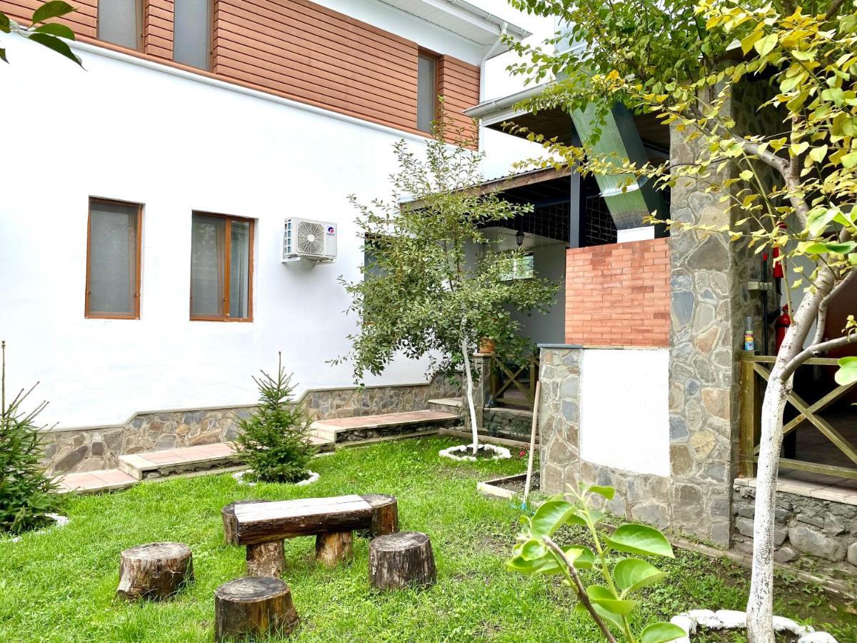 Вілла Gabala Sweet Lounge Екстер'єр фото