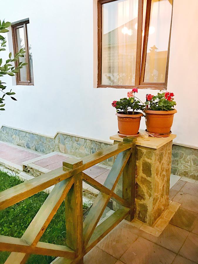 Вілла Gabala Sweet Lounge Екстер'єр фото